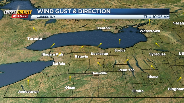 Wind Gust and Direction
