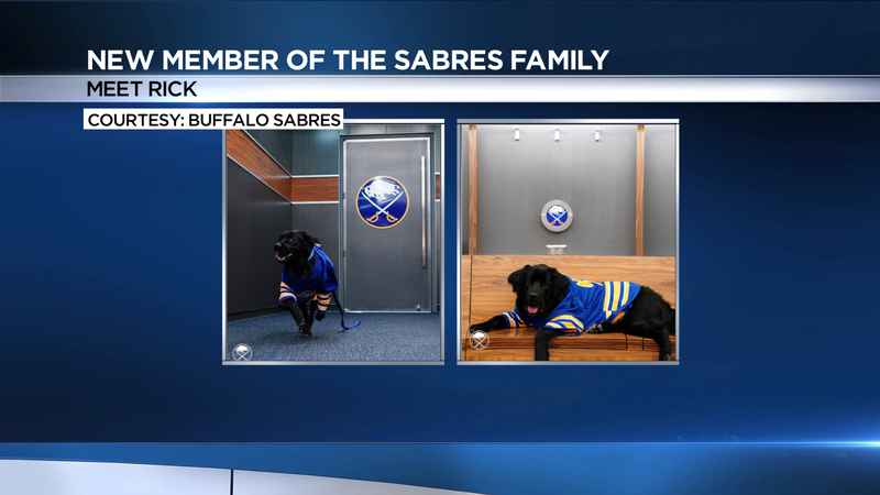 How The New Buffalo Sabres Dog Got His Name
