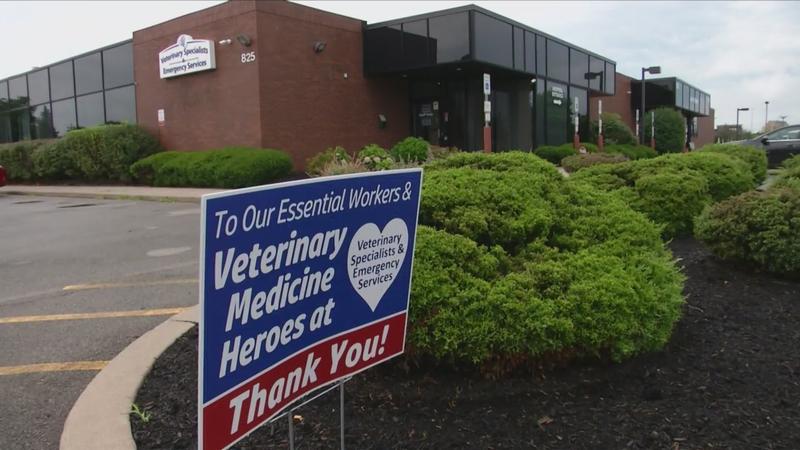 VSES: First Veterinary practice on East Coast to unionize